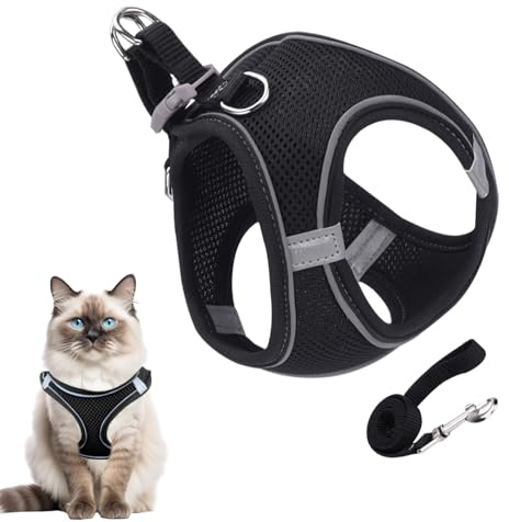 Harnais pour Chat Anti-Évasion - Harnais Ajustable pour Promenade Et Exterieur | pour Randonnée Camping Dressage Extérieur Taille S M L