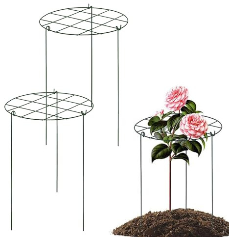 Celosía para Plantas Trepadoras Exterior, 3 Piezas Enrejado Metálico Jardín, Soporte Vid para Pepino UVA Rosa Tomate Hortaliza Jazmín Clematis Patio Casa