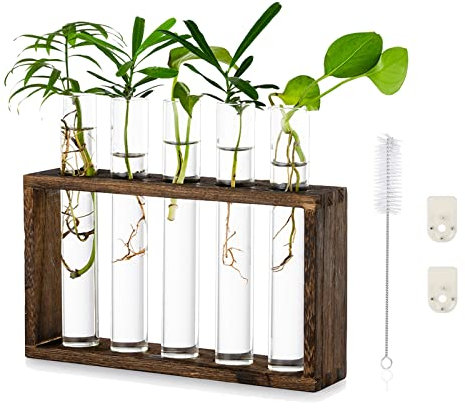 Tabletop Hanging Glass Planter Propagation Station Modern 5 Test Tube Flower Bud Vase in Wood Stand Rack Tabletop Terrarium for Hydroponic Plants Cuttings Office Home Decoration, Gift for Plant Lover