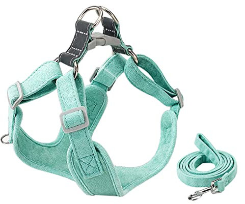 BESPORTBLE Verstellbares Geschirr Für Kleine Hunde Und Welpen Strapazierfähige Hundeleine Im Set Bequemes Haustiergeschirr Für Sicheres Gassi Gehen Mintgrün Größe 2 Teilig