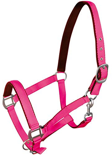 York Cabestro para caballos, flúor blando, cabestro para establo y pasto, cabestro para equitación