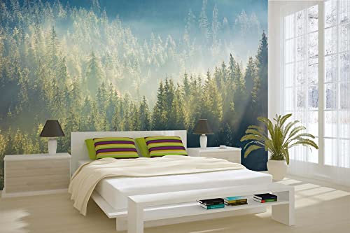 Vlies Fototapete NEBEL ÜBER WALD 375 x 250 cm (inkl. Kleister) - Vlies Tapete, Wandtapete, Wandbilder - Tapete für Wohnzimmer Schlafzimmer, Büro, Küche - Montagefertig