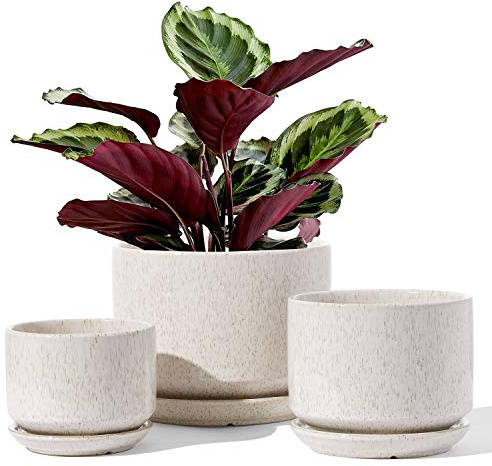 LE TAUCI Ceramic Plant Pots, 11+13+17 cm Planters, Set of 3 Planters with Drainage Hole and Saucer, Indoor Plant Pot with Hole Mesh Pad, Gifts for Mom, Reactive Glaze Beige