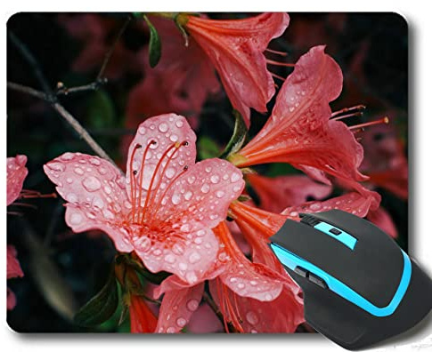 YENDOSTEEN Anpassa din spelmusmatta, rosa azalea blommor vattendroppar musmattor med sydda kanter 260 x 210 x 3 mm