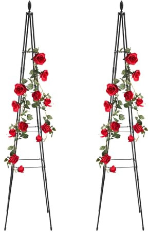 Susoso Arco para rosas, 4 niveles, soporte para plantas, torre de jaula, diseño abierto, diseño ajustable, fácil instalación, altura 170 cm, para jardines, color negro