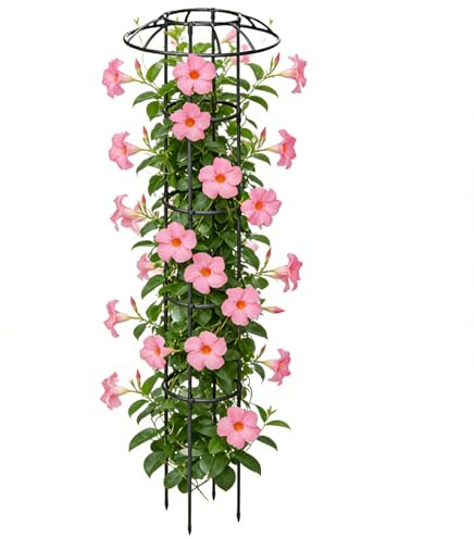 Traliccio da giardino per piante rampicanti, decorativo, verticale, antiruggine, stabile, supporto per piante rampicanti, , per rose, clematidi, verdure, cetrioli, ortensie,