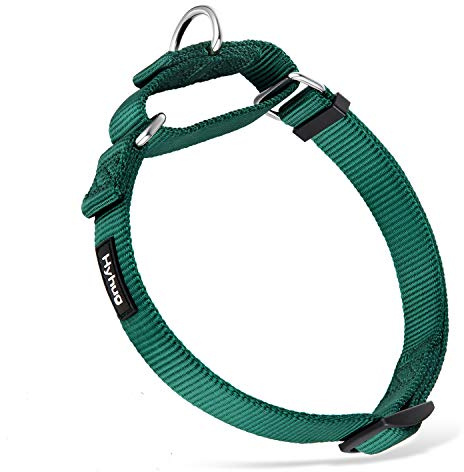 Hyhug Husdjur trafik nylon flyktsäker martingale hundhalsband för medelstora pojkar och flickor hundar (medium, mörkgrön)