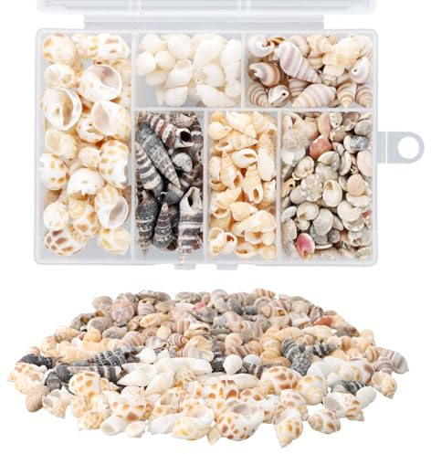 Conchas Marinas Mixtas, en Espiral, Micro Paisaje Mini Caracola, Naturales Adornos Artesanales Diy Ornamento, para Rellenos de Jarrones Fiesta Temática de la Playa Decoración de Bodas