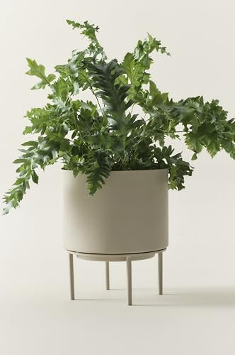 Jotex Monique Übertopf, vielseitiger Blumentopf aus Eisen mit kleinen Gestell für den Innen- und Außenbereich, Beige Pflanzer, 26 cm hoch, Ø 22 cm