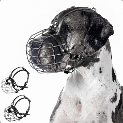 ILEPARK Hundemaulkorb aus Metall mit Lederriemen, Pitbull, Deutsche Dogge, Rottweiler, Sicherer Drahtkorb, Atmungsaktiv, Verstellbare Passform für Große Hunde (Schwarz)