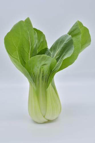 Vegetable Seeds for Planting UK, Variety Pack Varieties of Veg, Herb Grow Your Own. Easy to Grow Indoor, Outdoor Non-GMO (Cabbage Chinese Pak Choi 1000 Seeds)