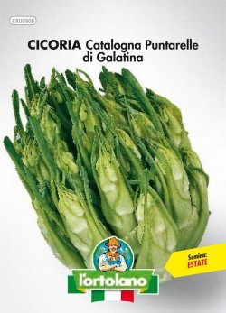 Sementi orticole di qualità l'ortolano in busta termosaldata (160 varietà) (CICORIA CATALOGNA PUNTARELLE DI GALATINA)