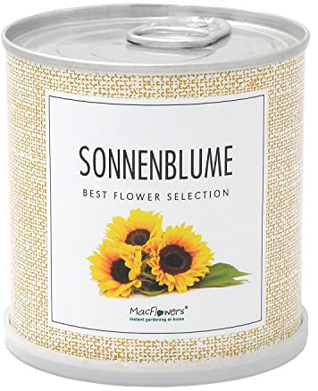 MacFlowers | Litet odlingsset med solrosor | design sort Henri Wild | Presentset med en sort frön i en söt omedelbar blomburk