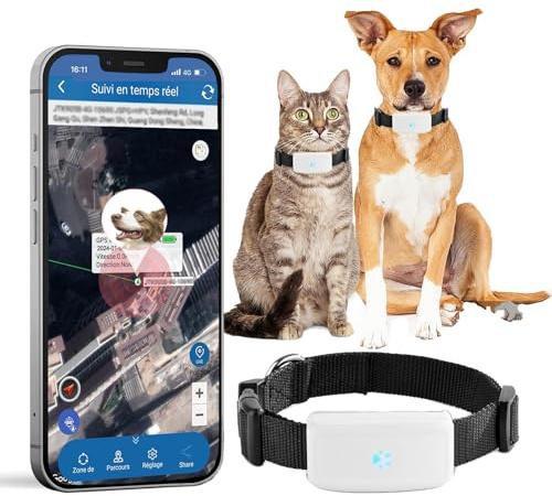 GPS Tracker per Cani e Gatti (Grandi Dimensioni) - Tracking in Tempo Reale, Geofence, App per Animali Domestici, Allarme Impermeabile, Collare GPS Senza ABO