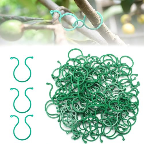 200PCS Gesicherter Pflanzen Clip,Pflanzenclips Tomaten,Pflanzenklammern Klein,Pflanzenstützklammer,Pflanzenringe zur Fixierung,Pflanzenstützclip zur Rankhilfe und Befestigung von Pflanzen,Grün-Klein