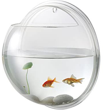 POPETPOP Transparent Wall Mounted Fish Tank Acrylic Hanging Aquarium with Artificial Plants Space-Saving Wall Decor for Home 6.69X6.69X3.14 Inches