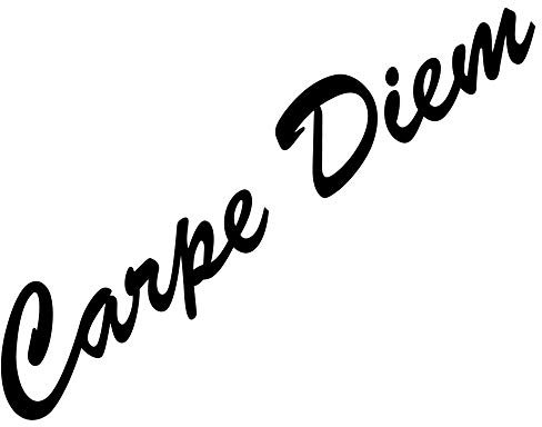 GreenIT 20 cm Carpe Diem Lettering Sticker Tattoo Decorative Film Wall Sticker for Car Wall Door Window (Black)