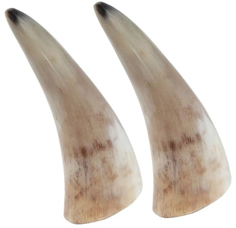 Genérico Tazas De Cuerno De Buey Natural Hechas 2 Piezas Copas Vikingas Para Beber Vino y Cerveza Decorativas y Ergonómicas Longitud De 13-15 Cm