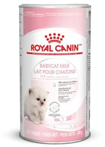 ROYAL CANIN Babycat Milk | 300 g | Milchaustausch-Alleinfuttermittel für Katzenwelpen | Von der Geburt bis zur Entwöhnung
