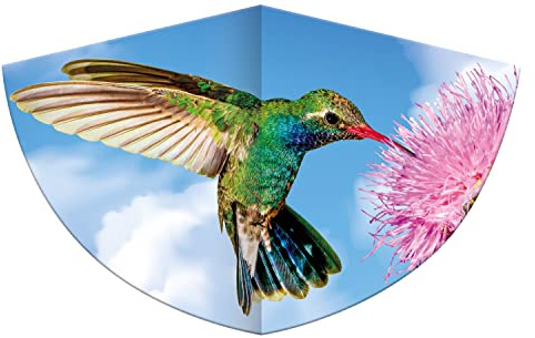 GÜNTHER FLUGSPIELE 1178 - Aquilone per bambini con motivo a colibrì, aquilone a linea singola in robusto foil di PE con scala regolabile, per bambini dai 4 anni, dimensioni circa 75 x 48 cm.