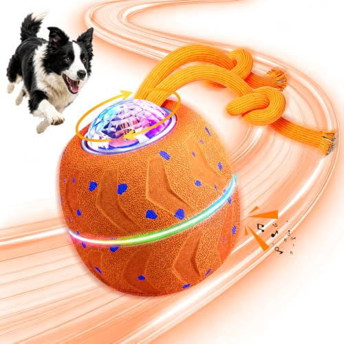 Balle Interactive pour Chien - Wicked Ball Rolly avec Queue & Aboiements, Jouet Intelligent pour Chien avec 3 Modes, E-TPU, Rechargeable USB-C, Lumières RVB, pour Chiens de Taille Moyenne à Grande