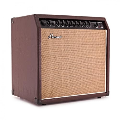 30W Portable Acoustic Guitar Amplifier with 10 inch Speaker