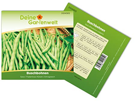 Buschbohnen Saxa Samen - Phaseolus vulgaris - Bohnensamen - Gemüsesamen - Saatgut für 50 Pflanzen