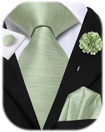 Hi-Tie Silk Sage Green Ties Set with Flower Lapel Pin Man Solid Necktie Pocket Square Cufflinks for Tuxedo Wedding Business