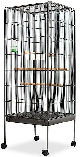 Ziaphsol Svart fågelbur av stål, voljär, 54 x 54 x 146 cm med 4 trästänger, matskål, vattendispenser, golvskål, rullar, för undulater, kanariefågel, papegoja, inredning