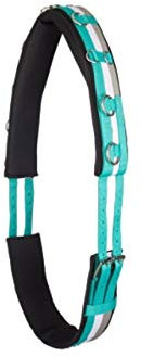 IMPERIAL RIDING Longiergurt Deluxe