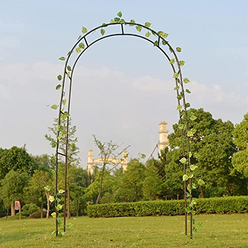Arco Jardin Exterior Decorativo de Entrada, Arcos de Jardin Hierro para Varias Plantas Trepadoras, Rosas, Arco de Boda, Arco De Metal para Exteriores, Varios Tamaños,200x220x40CM