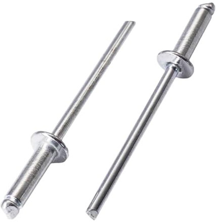 SKIR'CO 100 remaches ciegos de acero chapado en zinc de 3 x 10 mm, mandril de acero, remaches pop, cabeza de cúpula, remaches DIN 7337