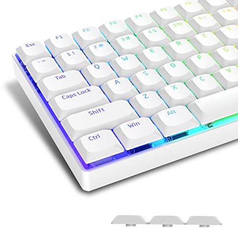 Low Profile 118 Keycaps, Horizon Tastenkappen Shine Through für 60% 65% 75% 80% 100% ANSI US Layout Cherry Gateron MX Switch Mechanische Tastatur, Weiße