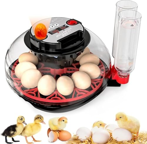 IBKINXX Incubator for Hatching Eggs-Eggs Capacity, Auto Egg Turner & New Auto Precision Humidity Control System, 360° Clear Viewing for Chicken, Duck and Quail Eggs (Black)