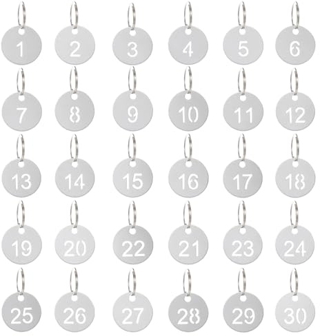 30 stycken metallnyckelringar 1–30 numrerade runda rostfria hängen med ring, för skåp, hotell, skolor och bagage (diameter 24 mm)