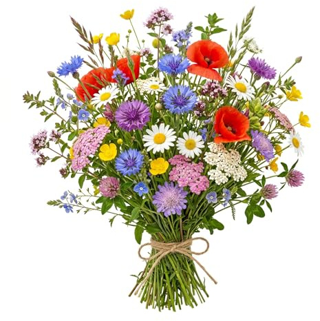 Miscuglio Semi Fiori di Prato Fiorito | Mix Fiori Selvatici Multicolore | Fioritura Abbondante | Attira Api e Farfalle | Ideale per Giardino e Balcone | Facile da Coltivare