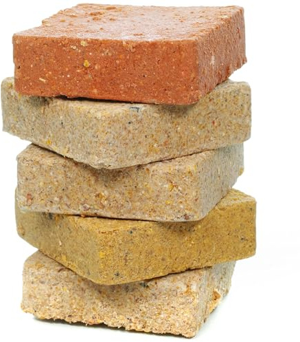 SQUAWK Suet Fat Blocks | Premium Grade Garden Wild Bird Food | Enhanced Formula | Naturally Blended, High in Energy & Protein-Rich Feed | Full of Nutritious Fat, Fibre & Moisture (Mixed, 10)