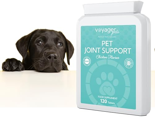 Voyager Pet Joint Support Supplement for Cats & Dogs | Chicken Flavour 120 Tablets| May Helps to Support Joints & Mobility with Glucosamine, Chondroitin, Green Lipped Mussel & MSM