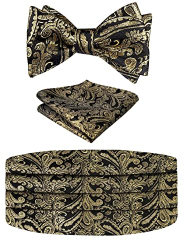 Alizeal herr klassisk paisley självknuten justerbar fluga, kummerbund och ficknäsduk set, 133-Svart+Guld, en storlek