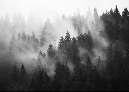 Runa Art Fototapete Wald Nebel Modern Vlies Wohnzimmer Schlafzimmer - Made in Germany - 308 x 220 cm Schwarz Weiss 9552010c