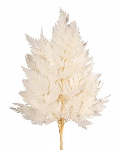 Ramo di FELCE STABILIZZATO colore BIANCO - 40/45 cm
