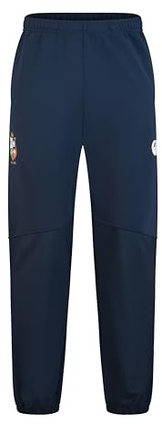 Canterbury Men's British & Irish Lions Training Pants | Rugby Tracksuit Bottoms | Soft Jersey | Official British & Irish Lions Licensed Product Track Pants