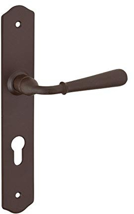 THIRARD - Ensemble de Poignées pour Porte d'Entrée Charon - Acier Rouillé - Trou de Cylindre - Carré 7 mm - Entr'Axes 195 mm - Esthétiques et Pratiques - Gris