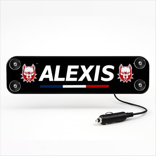 Stick Olivier - Piastra luminosa cabina camion - nome, messaggio, logo personalizzato - Illuminazione potente LED 5, 12, 24 V - Insegna al neon personalizzabile decorazione interna - Fabbricazione
