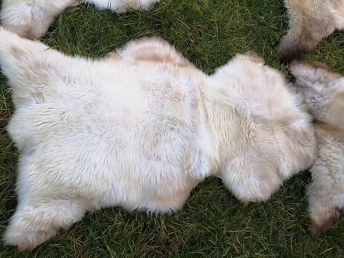 Provellus Vera lana di agnello ecologica in vera pelle di pecora naturale, morbida, taglia M – XXL (110 – 120 cm x 60 – 70 cm)