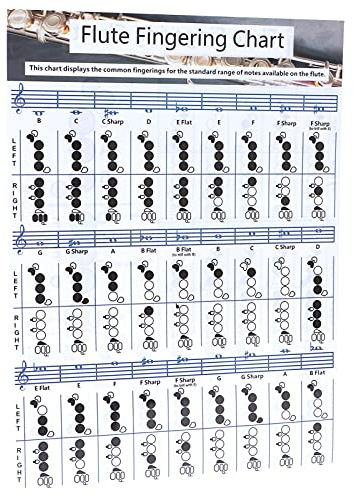 Flöjt Fingrar Diagram, Flöjtans Ackorddiagram Belagt Papper Lär Dig Flöjteknik Lämplig Flöjt Fingring övningsdiagram Flöjt Fingringbord för Alla Nivåer (Flöjt Fingringbord (Flute Fingering Table