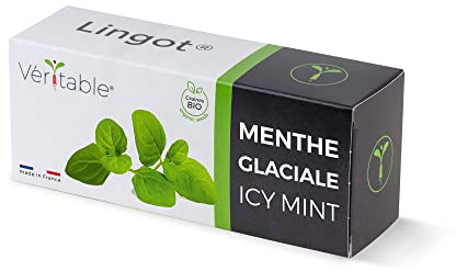 Véritable Lingot® Menta glaciale BIO - Compatibile con Orti Interni Exky® - Ricarica pronta all'Uso - Substrato con Semi Integrati