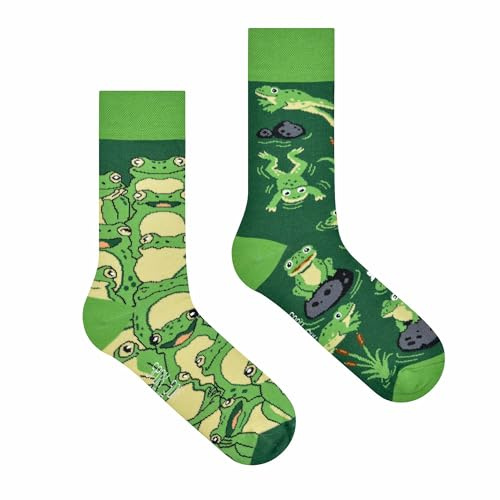 Spox Sox Casual Unisex - Calcetines multicolores para individualistas, rana, 46-48
