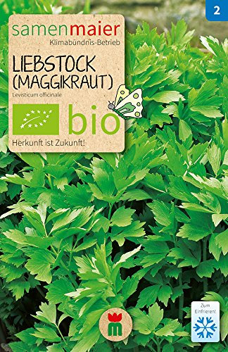 Samen Maier 865 Liebstock (Maggikraut) mehrjährig (Bio-Liebstöckelsamen)