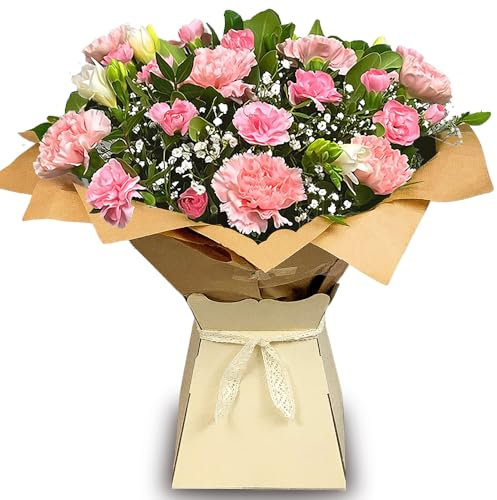 Luscious Pinks Bouquet, Carnations & Freesias Hand Tied Fresh Flowers, Real Flowers Delivered Next Day, Perfect for Birthdays, Thank You Gifts & More